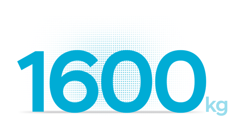 IONIQ 5 1600kg dragvikt